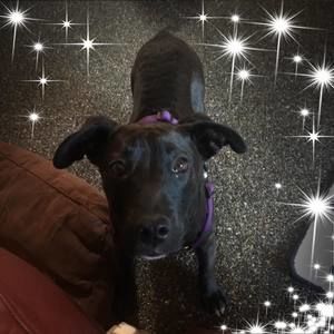 Meet your Posher, Jan